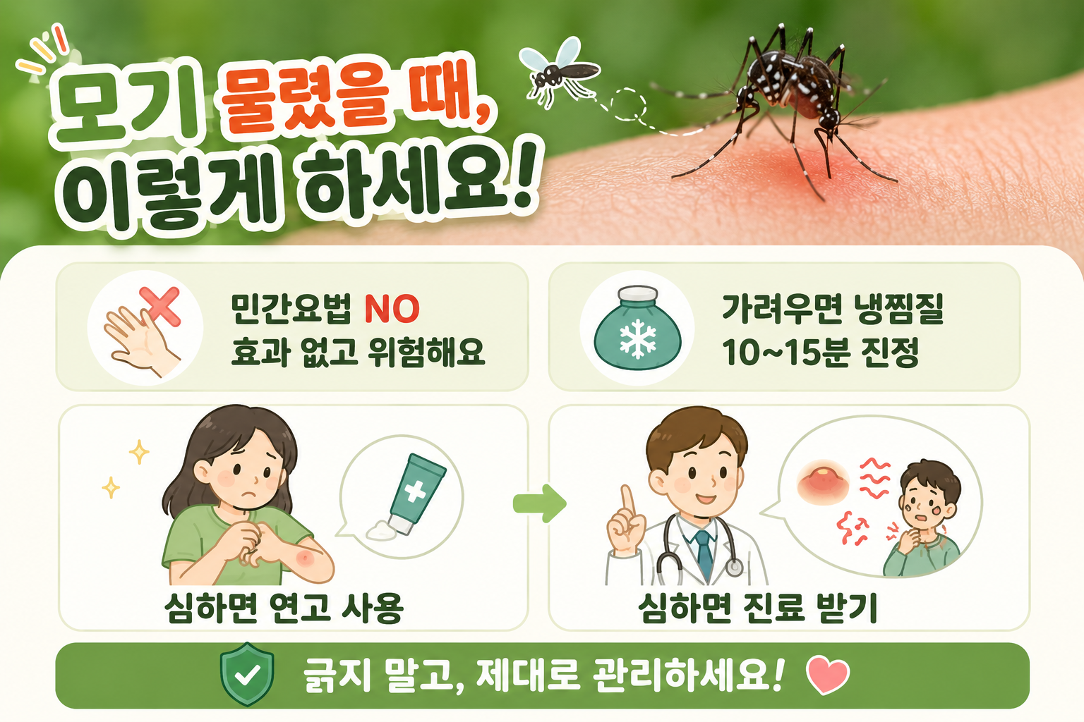모기 물렸을 때 침·X자 금물, 가려움 빨리 없애는 올바른 방법