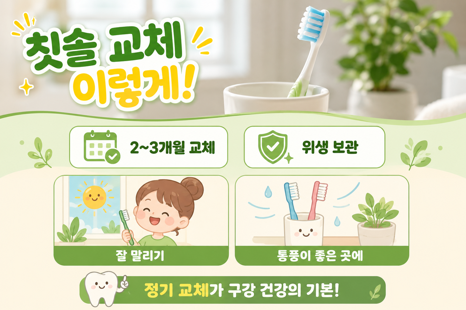 칫솔모 멀쩡해도 세균 가득? 칫솔 교체 주기와 보관법