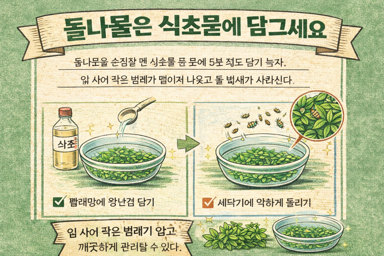 돌나물 손질법, 식초물에 5분 담가 벌레와 흙냄새 없애세요