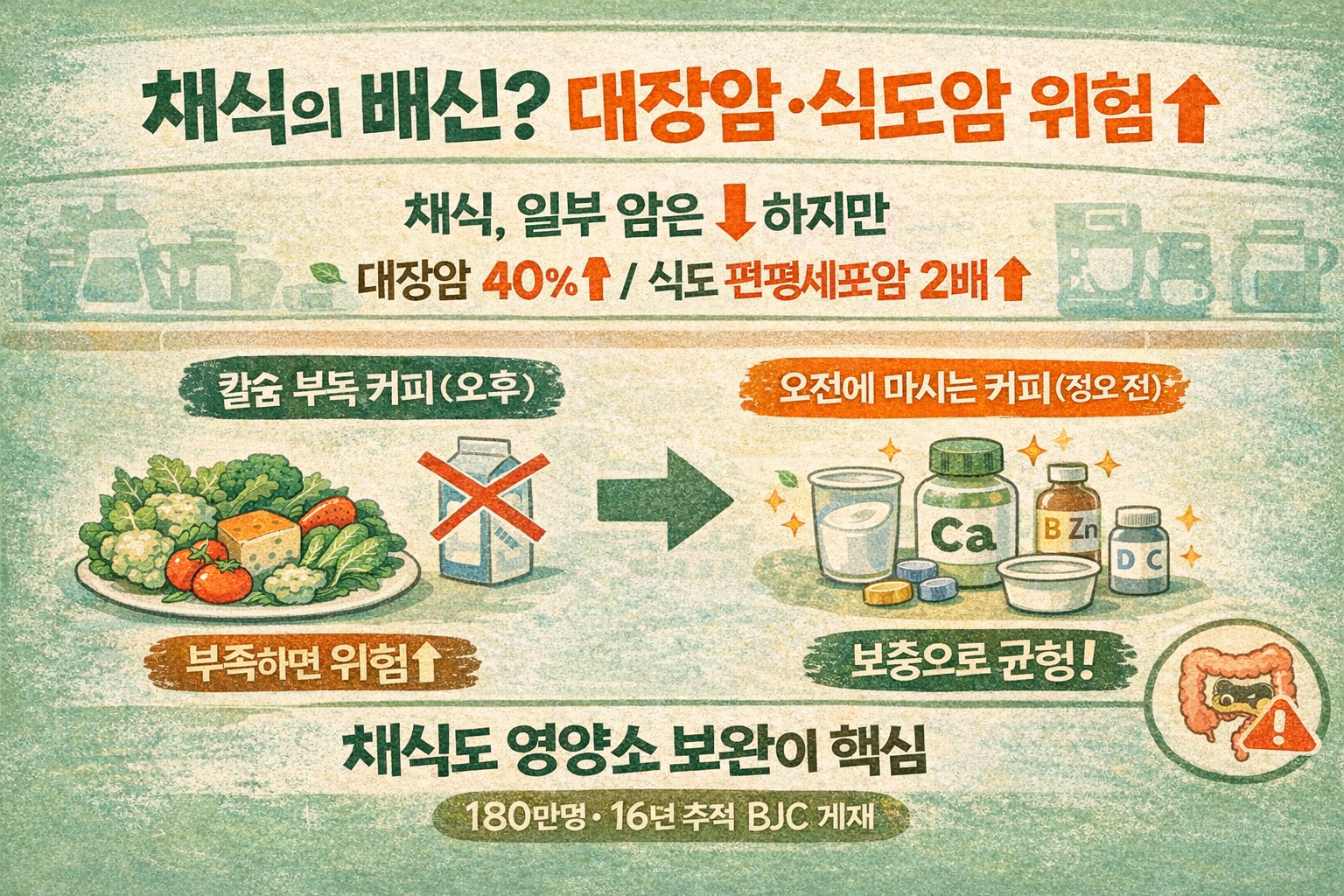 채식의 배신? 대장암 40%↑·식도암도 증가… 옥스퍼드대 180만명 분석과 ‘부족 영양소’ 해법