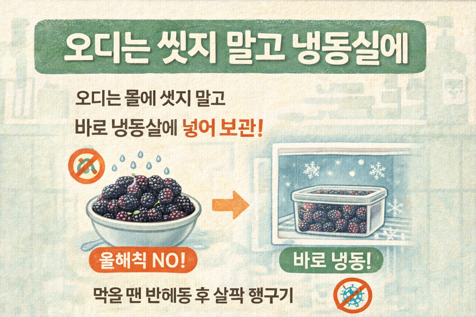 오디, 미리 씻지 마세요: 껍질 터짐 막는 ‘바로 냉동’ 보관법 + 먹기 전 반해동 헹굼 꿀팁