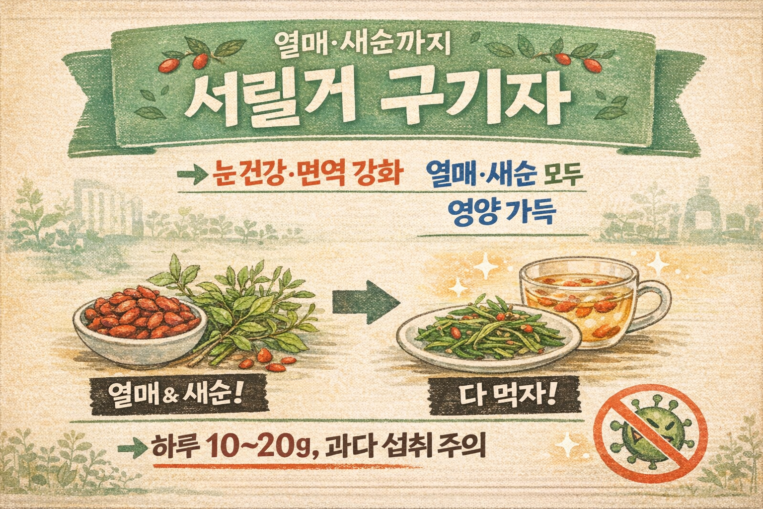 눈 건강·면역 강화… ‘구기자’ 효능 총정리｜제아잔틴·항산화 + 하루 10~20g 섭취법(구기순 활용)