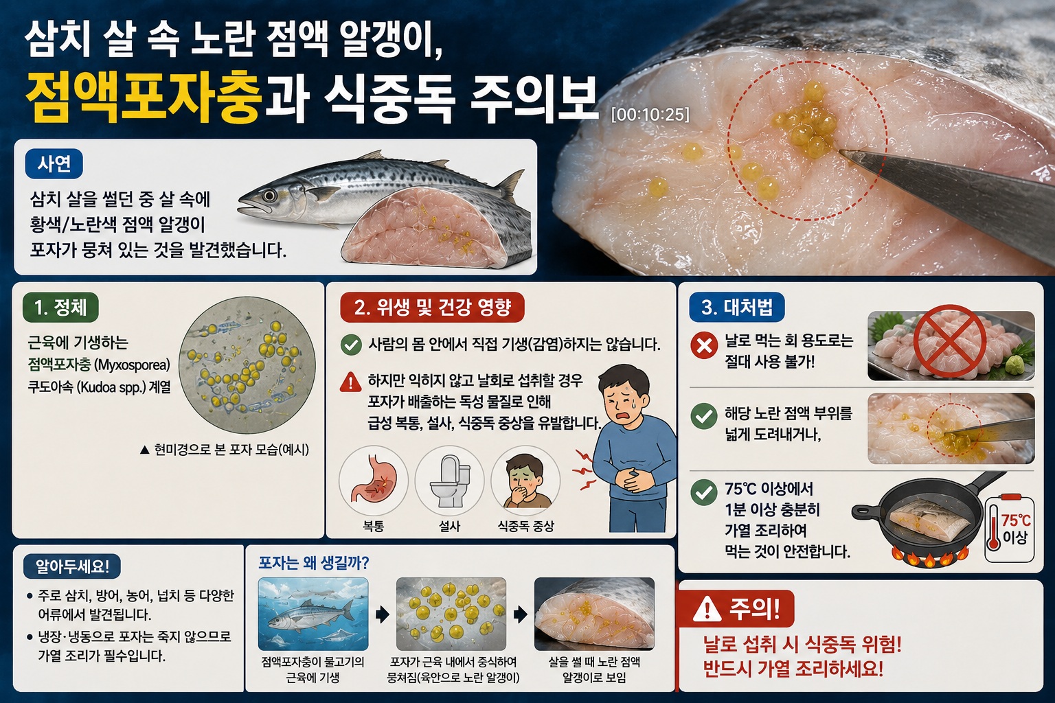 삼치 노란 알갱이 정체, 점액포자충 가능성과 날로 먹으면 안 되는 이유