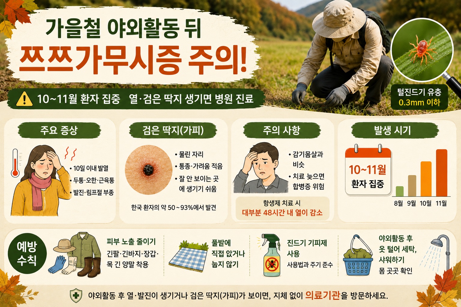 쯔쯔가무시증 증상, 가을철 발열과 검은 딱지 보이면 확인해야 할 것