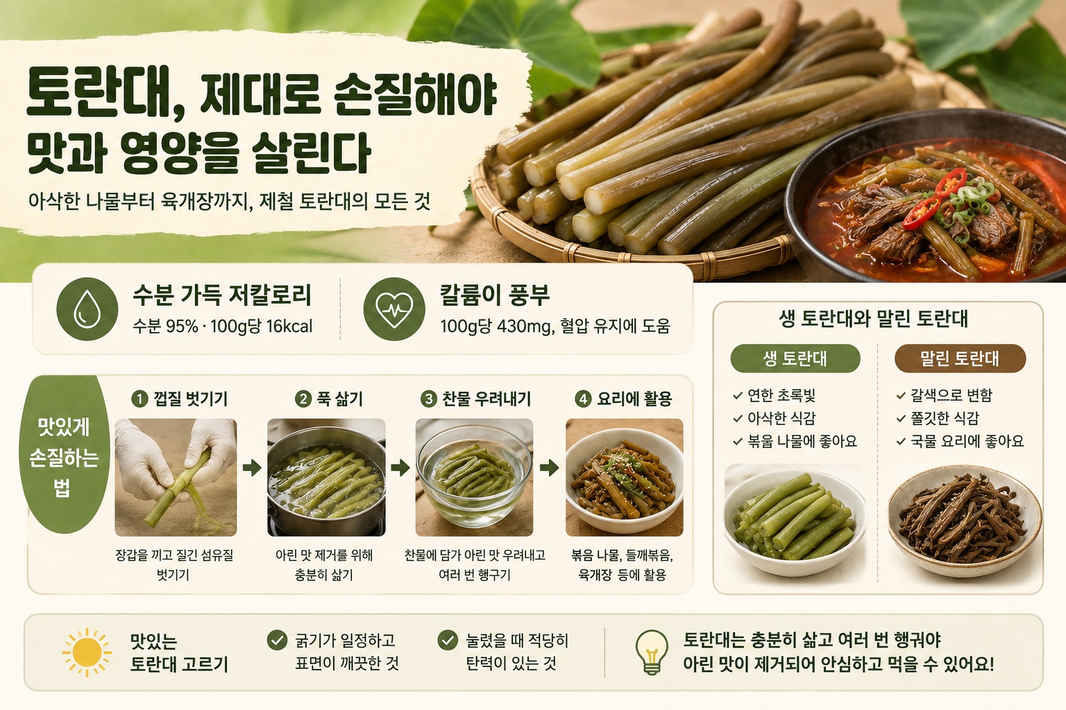 토란대 효능과 손질법, 생으로 먹으면 안 되는 이유와 제철 먹는 법