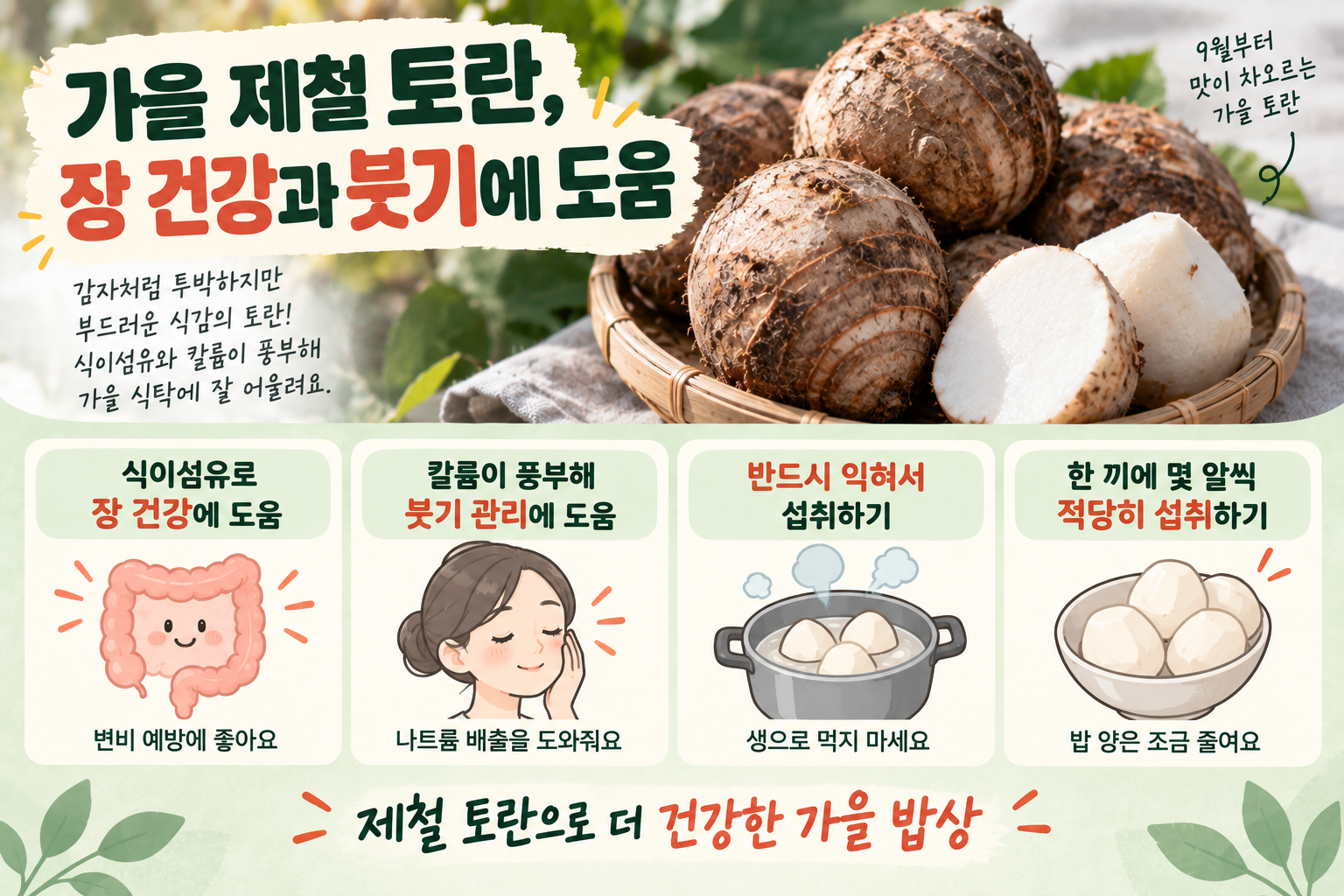 토란 효능, 식이섬유·칼륨 풍부…변비·붓기 관리와 안전한 손질법