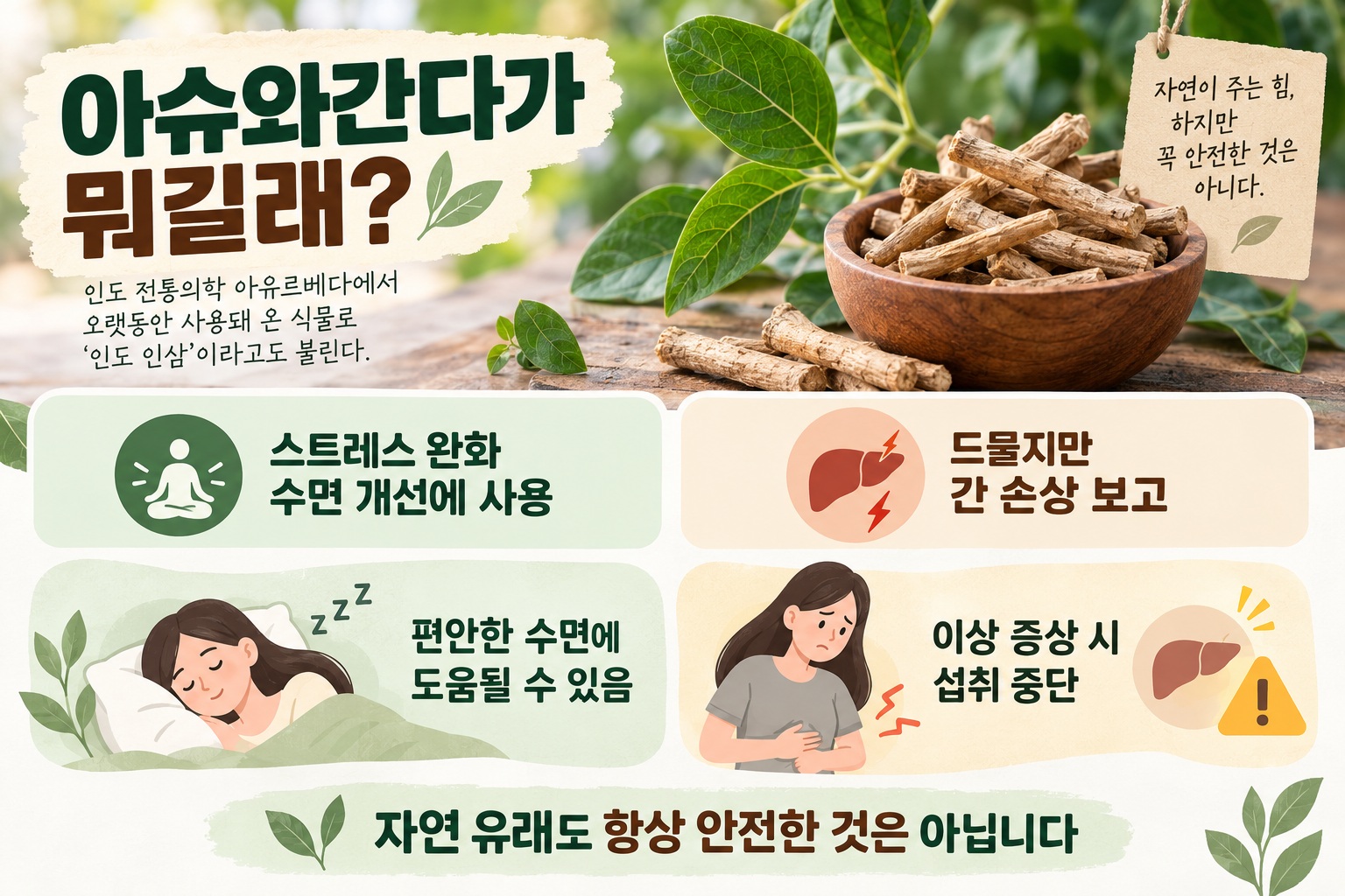 아슈와간다 부작용, 수면 건강 도움 전에 알아야 할 간 손상과 복용 주의사항