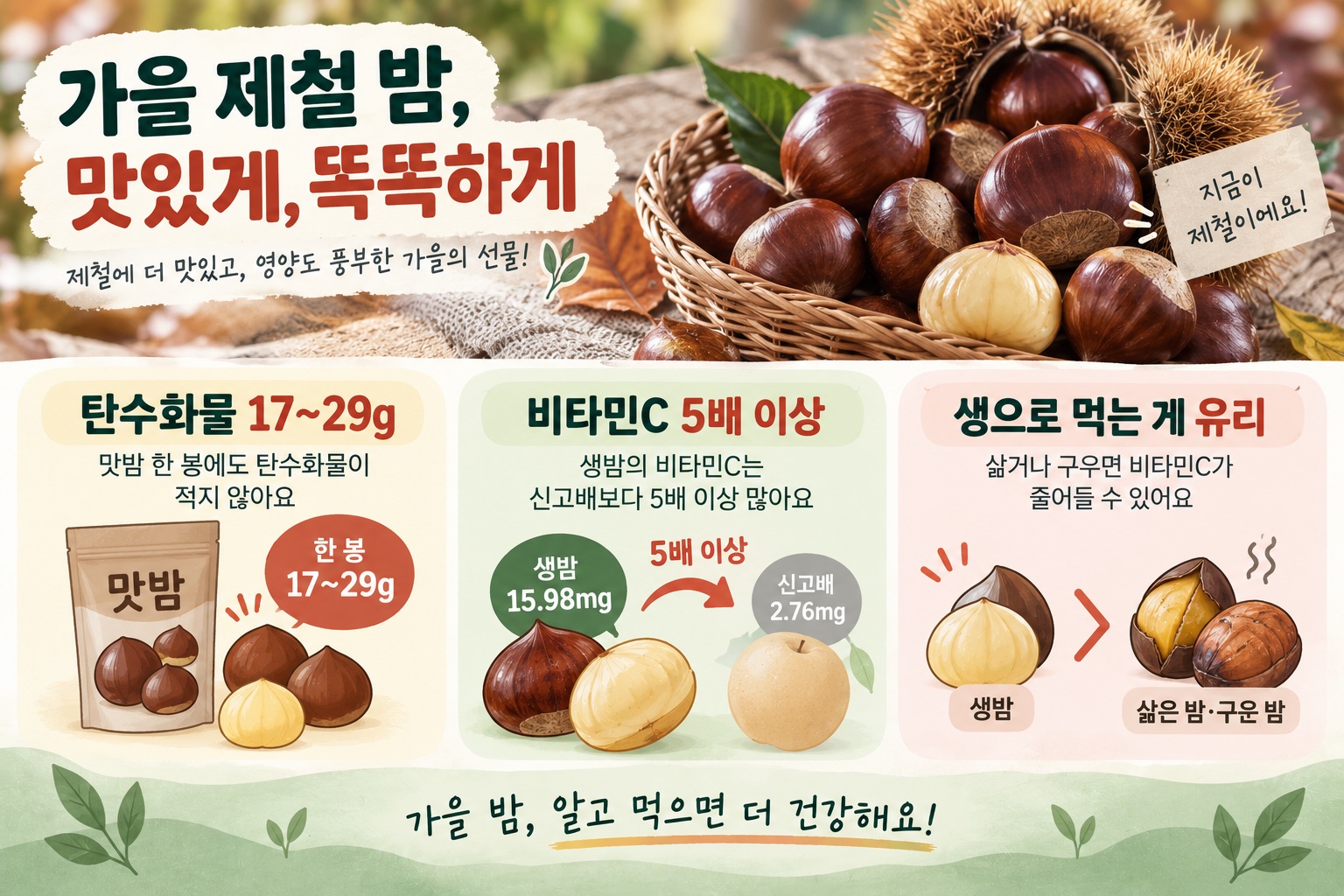 밤 효능과 칼로리, 탄수화물 많지만 비타민C도 풍부한 가을 영양 간식