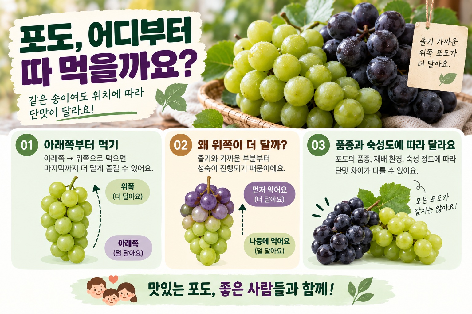 포도 먹는 순서, 아래쪽부터 먹어야 끝까지 더 달게 느껴지는 이유
