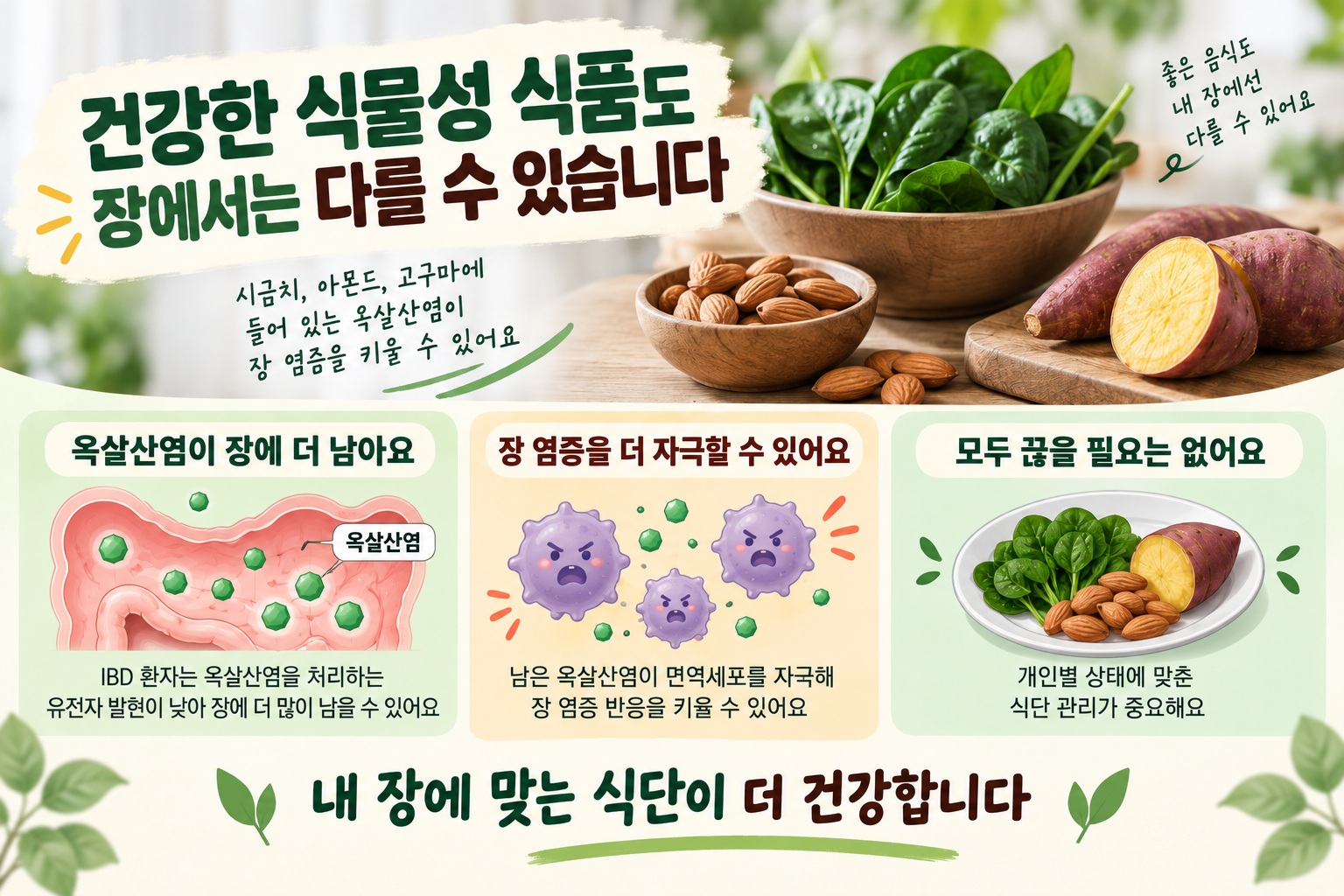 염증성 장질환 식단, 시금치·아몬드 속 옥살산염이 장 염증 키울 수 있다