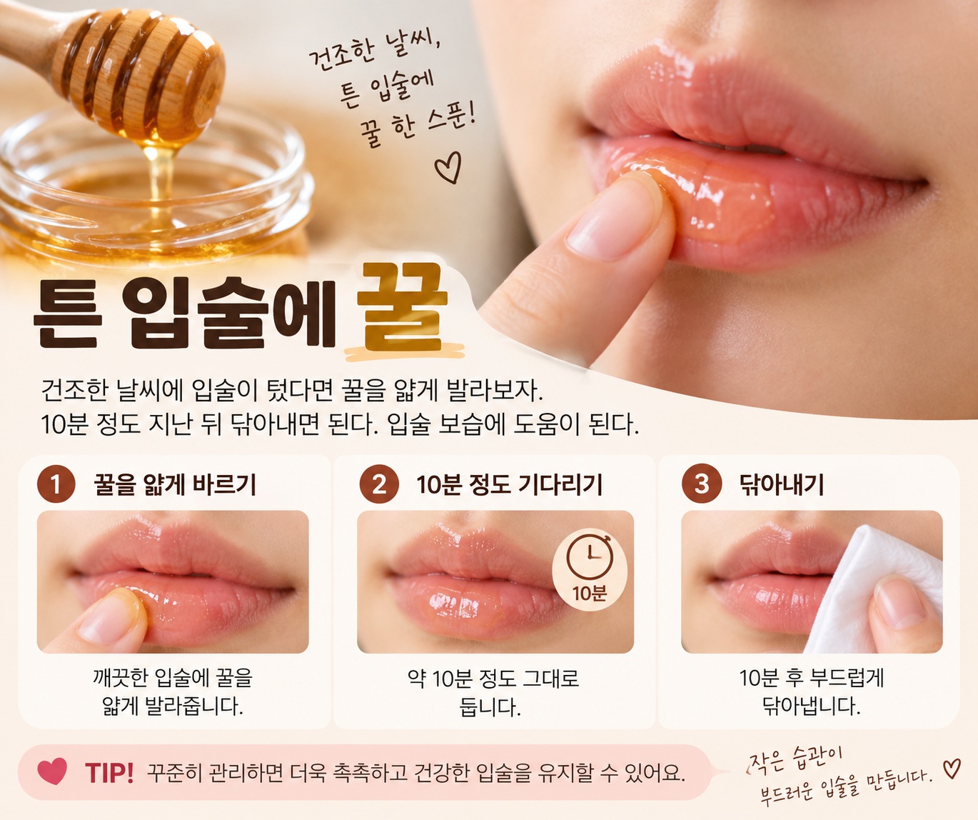 튼 입술 꿀 보습법, 10분 바르고 닦아내는 간단한 관리 방법