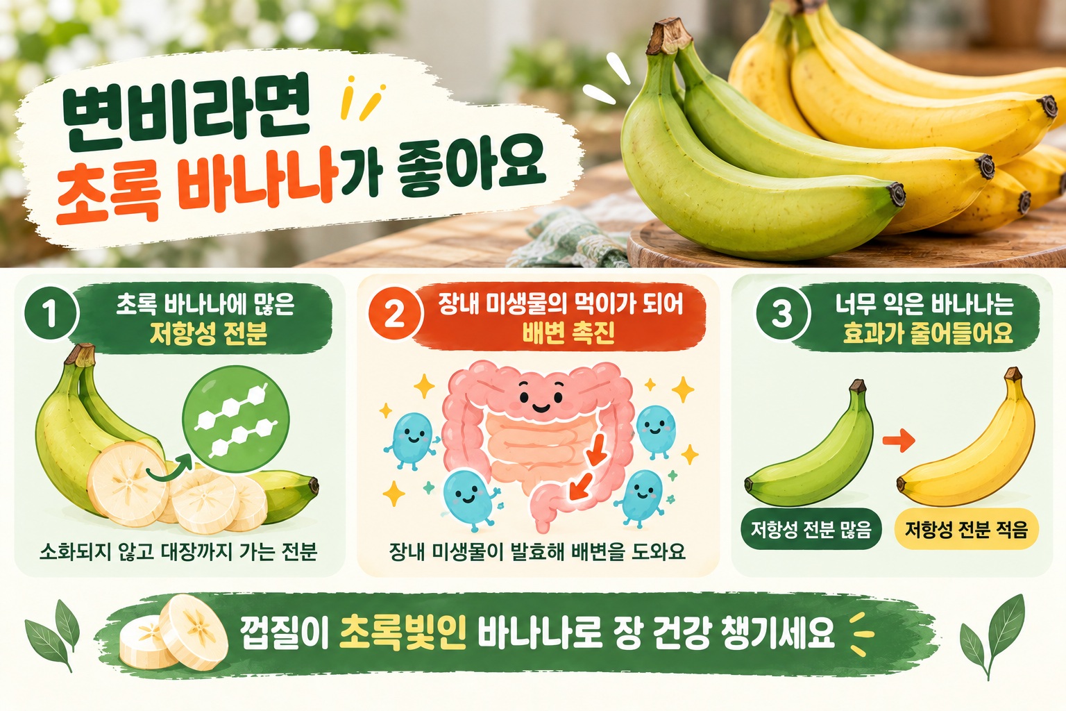 변비 바나나, 노란색보다 초록빛이 좋은 이유 저항성 전분에 있다