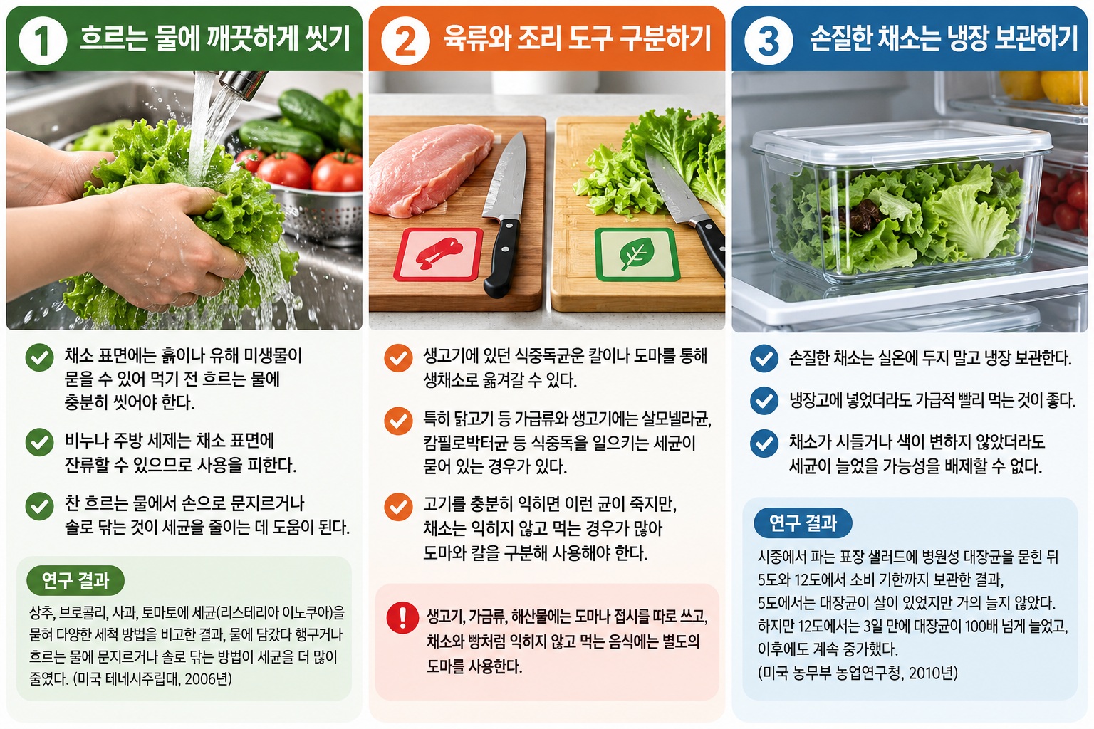 채소 세척 보관법 식중독 위험 줄이는 씻기부터 냉장 보관까지