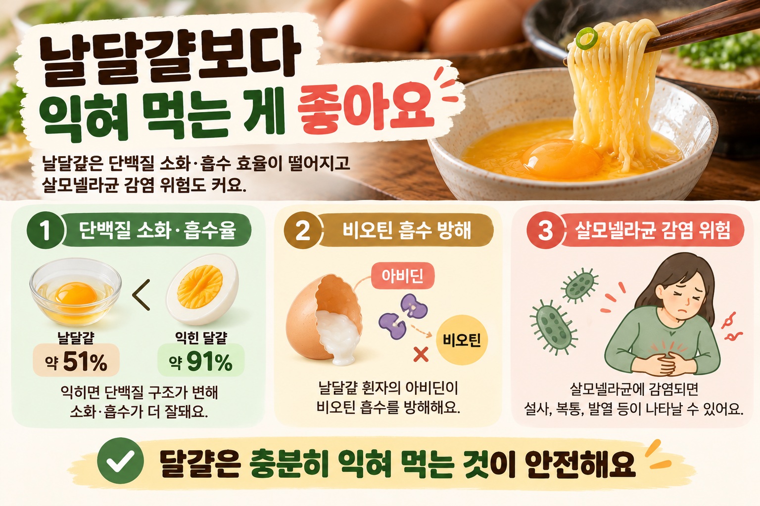 날달걀 익혀 먹어야 하는 이유, 단백질 흡수율과 살모넬라 위험 차이
