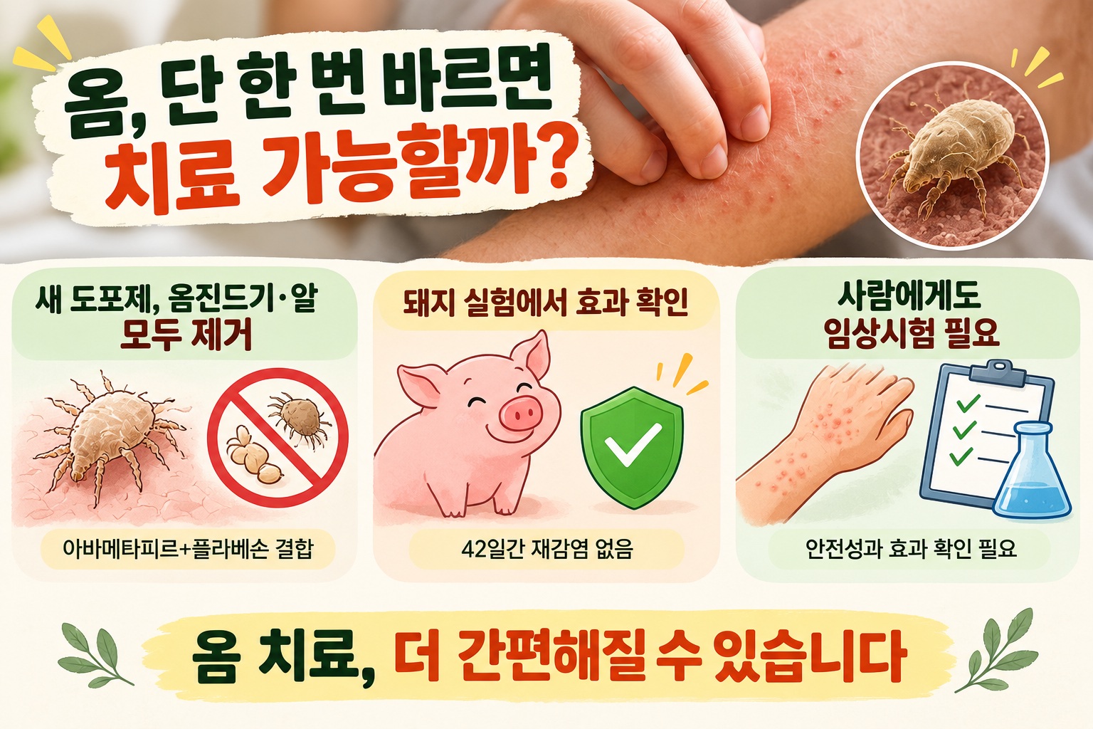 옴 치료, 약 한 번만 발라도 끝날까…진드기와 알 없앤 새 도포제 돼지 실험 성공